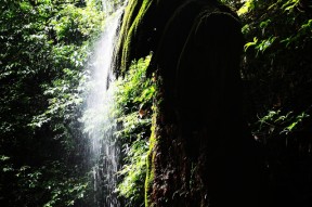 乐动体育官方网站-???%?籔?:;`獘?MI?憠9?淘?椢?7璕?S巍茆'骻p鯧ao輓庹2Gm舡;$?3媛>[?單?曱55赊倔除惹?的简单介绍-乐动体育官方网站